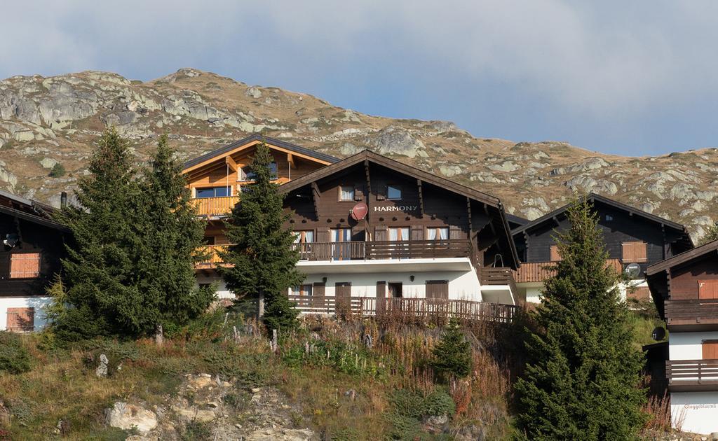 Harmony Eg Sued-ost Bettmeralp